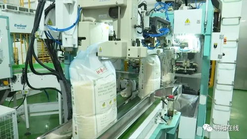 射陽大米首獲省政府農業技術推廣獎，技術創新引領產業升級