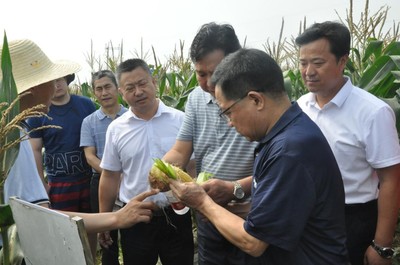 科技賦能農(nóng)業(yè)，鮮食玉米產(chǎn)業(yè)大會在武漢成功舉辦